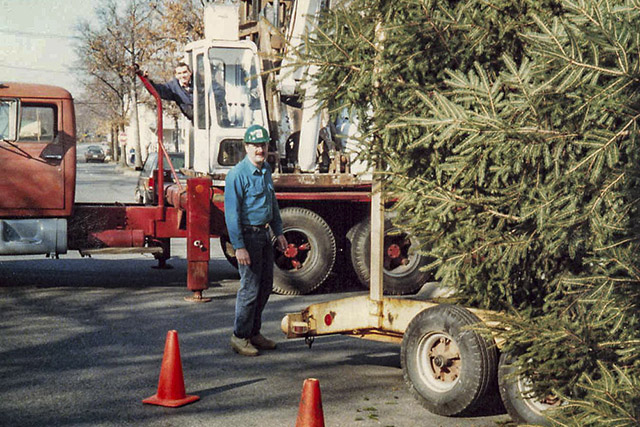 Archive photo of Wonderland Tree Care tree service in the Hamptons.