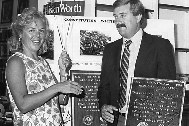 Black and white historical photo of Wonderland Tree Care.