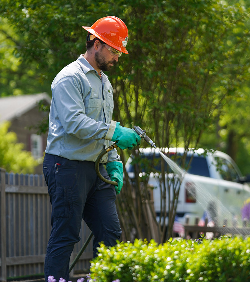 Plant Health service photo