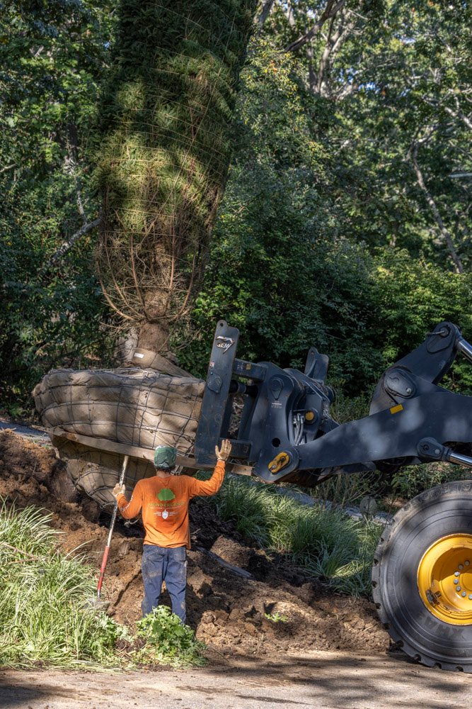 Landscape machinery and stone installation