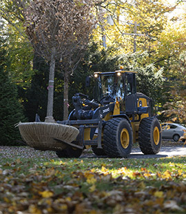 Landscape Construction