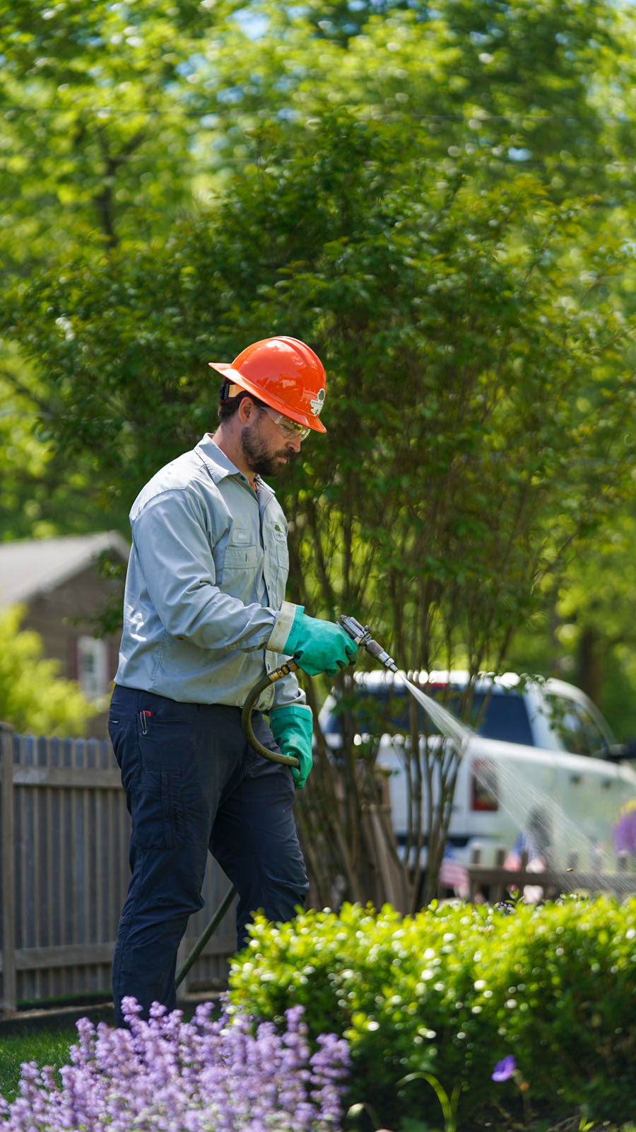 landscape working adding topical preventative or curative treatment to foliage