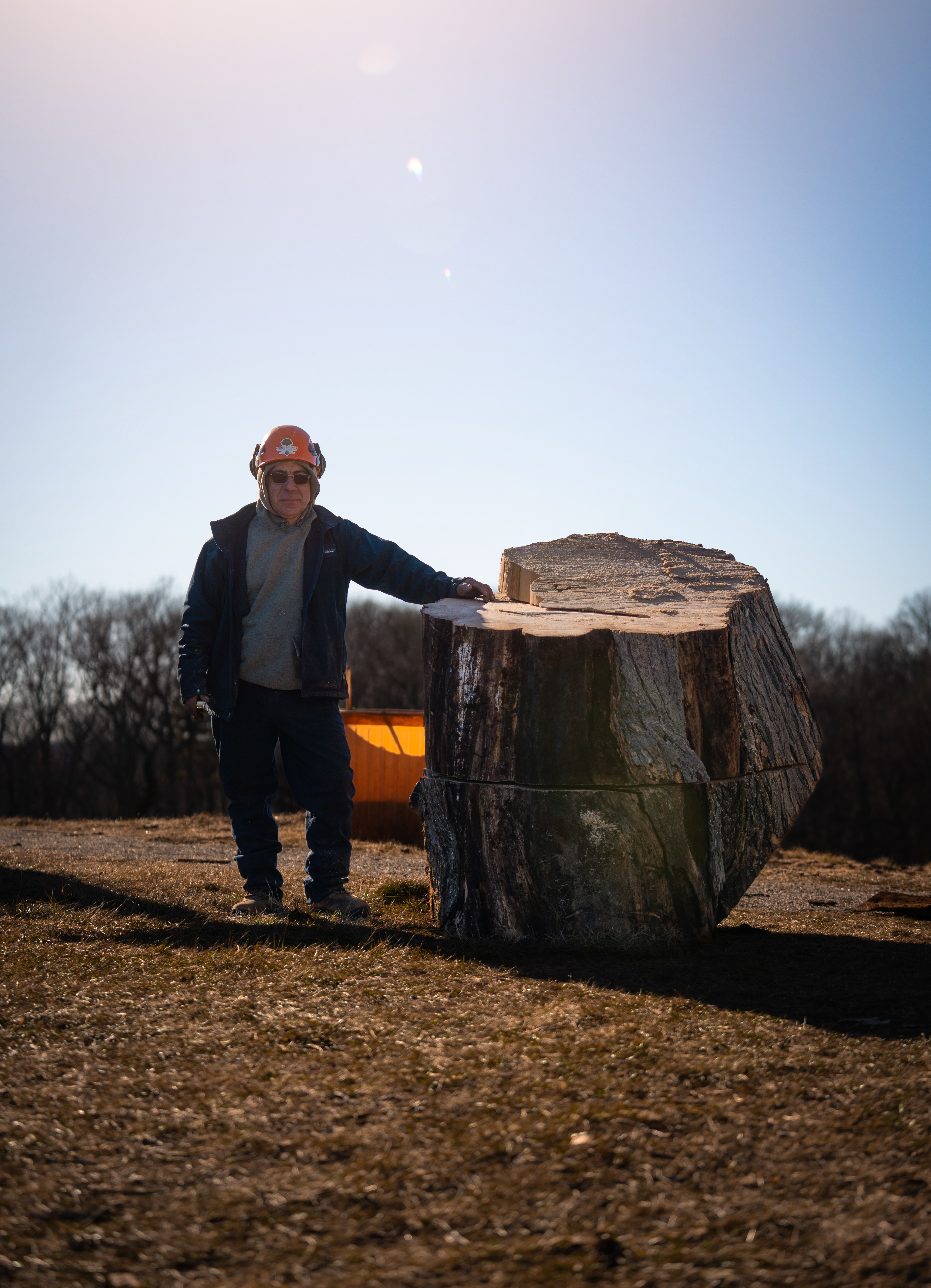 tree removal expert standing next to a large tree stump